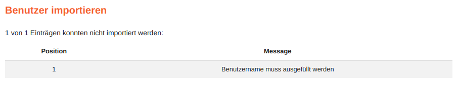 Liste mit Fehlermeldungen nach fehlerhaften Import